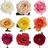 Garden Rose Assorted David Austin - Garden Rose - Roses - Flowers by